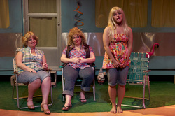 The Great American Trailer Park Musical